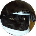 zxwrd profile picture